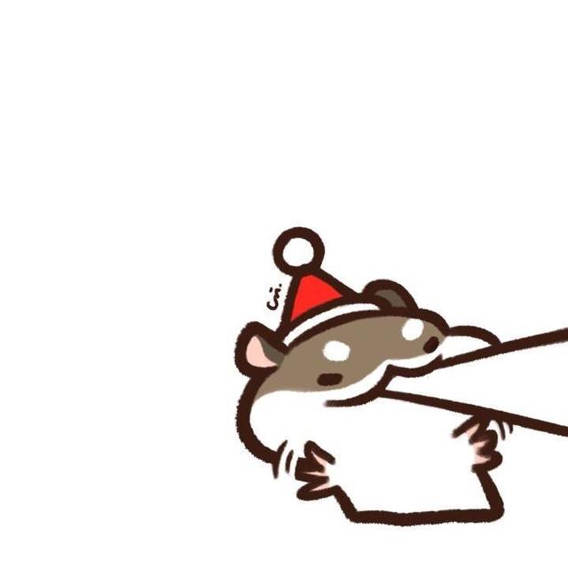 博主头像